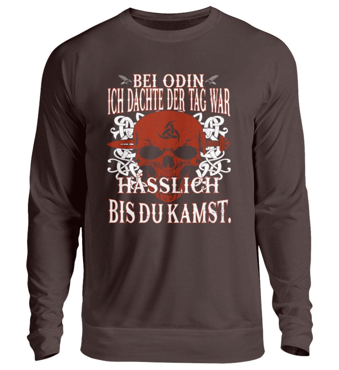 Wikinger Sweatshirt "Bei Odin, ich dachte der Tag war hässlich bis du kamst" - Nordic Viking Wear